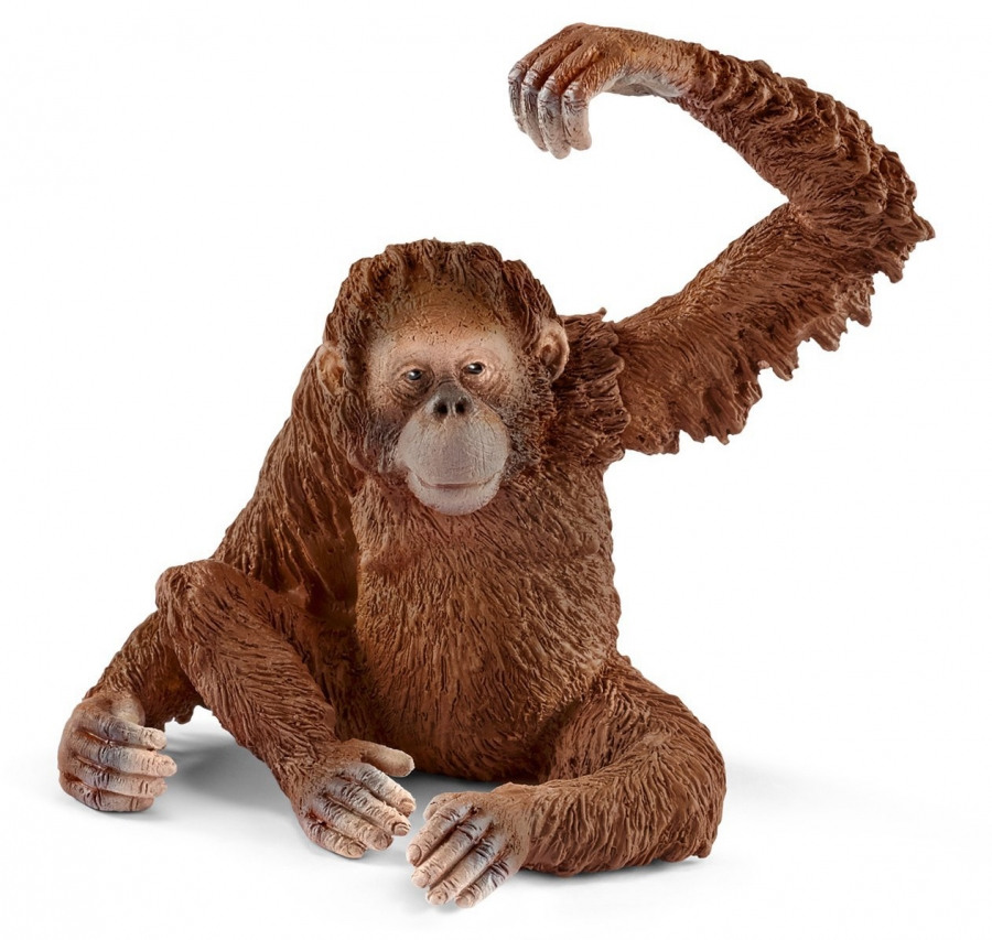 Самка суматранского орангутана фигурка Schleich