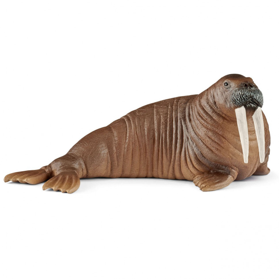 Морж морское млекопитающее фигурка Schleich