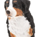Бернский зенненхунд самка фигурка собаки Schleich